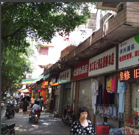 海楼网