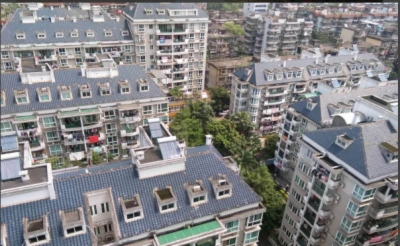 海楼网
