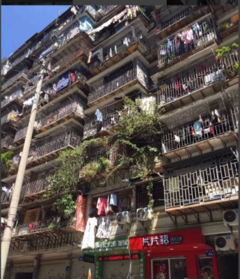 海楼网
