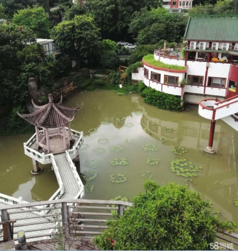 海楼网