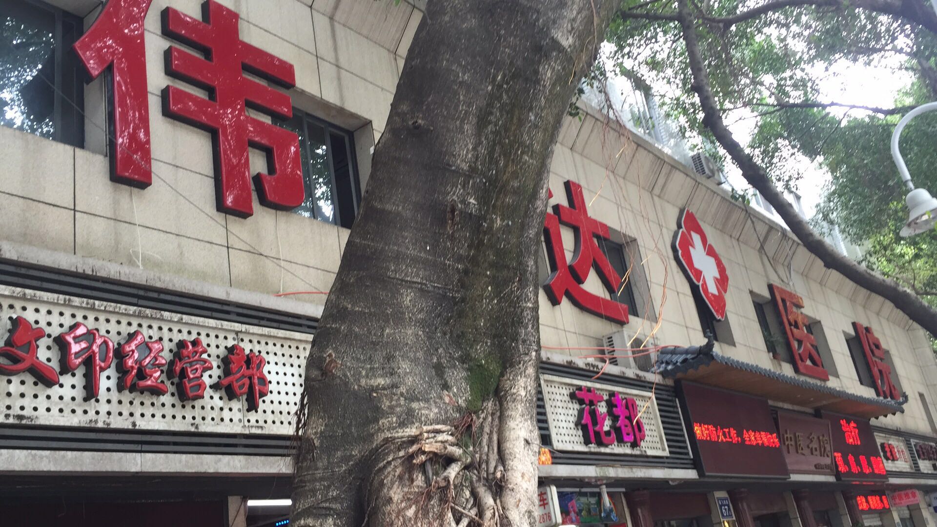 海楼网
