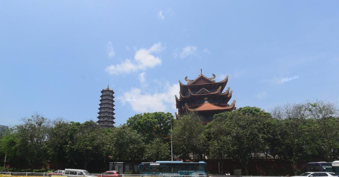 海楼网
