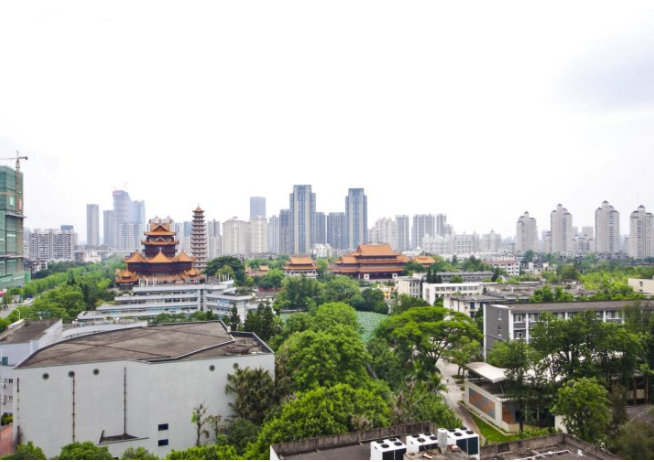 海楼网