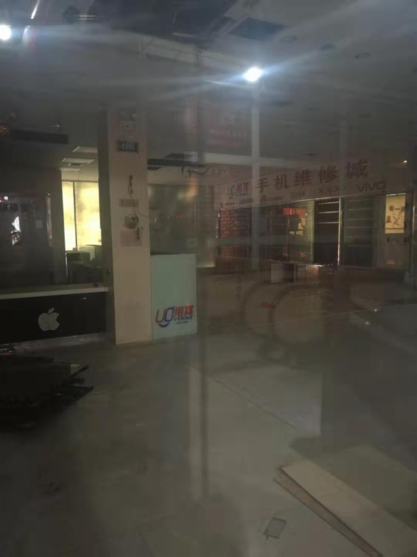 海楼网