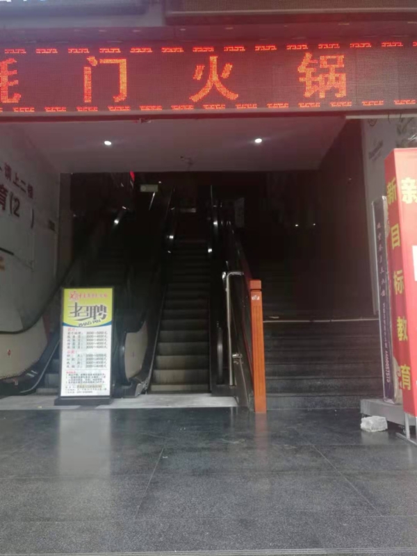 海楼网