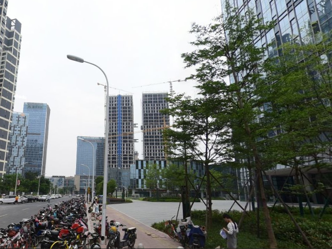 海楼网