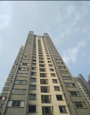 海楼网