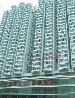 海楼网