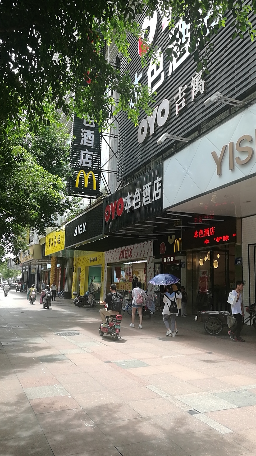 海楼网