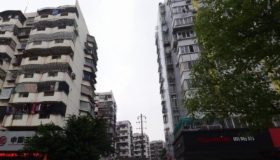 海楼网