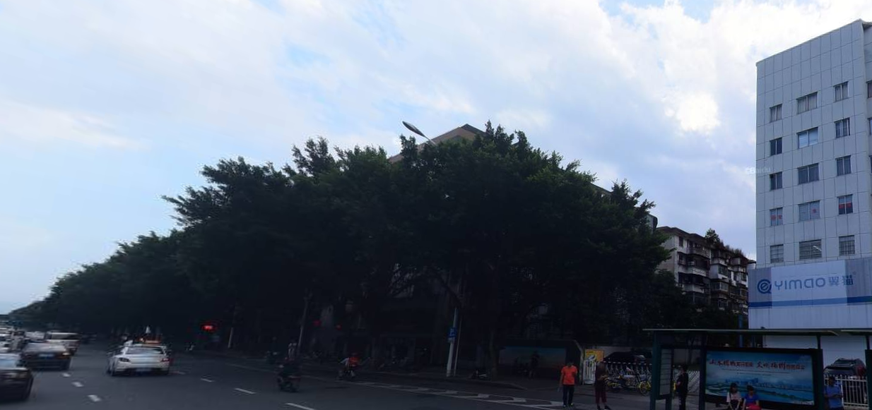 海楼网