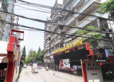 海楼网