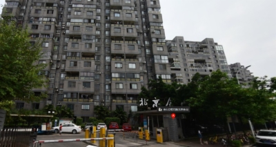 海楼网