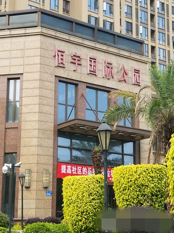 海楼网