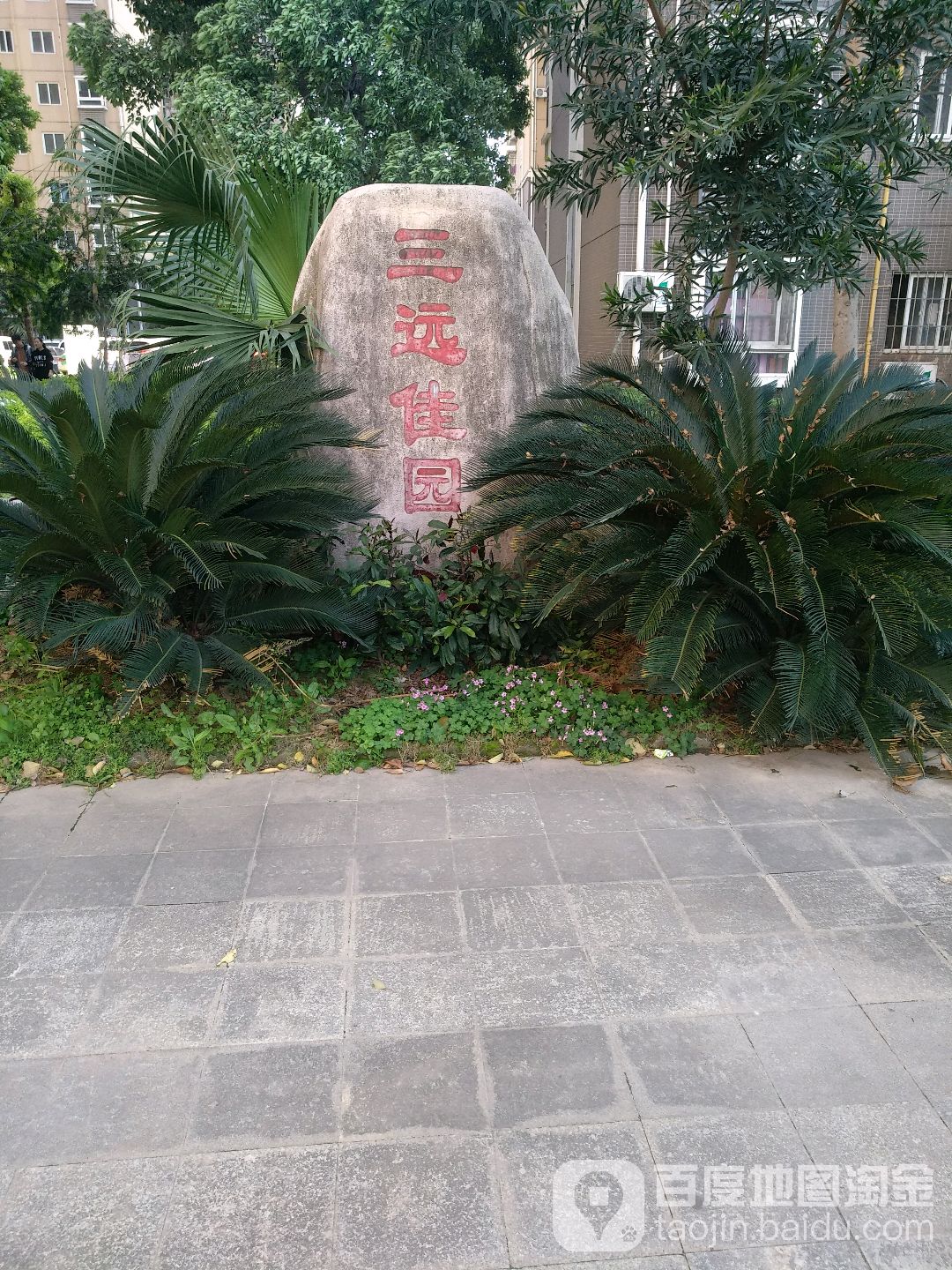 海楼网