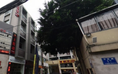 海楼网
