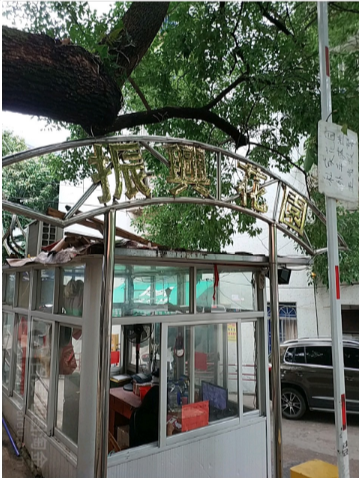 海楼网