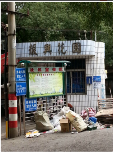 海楼网