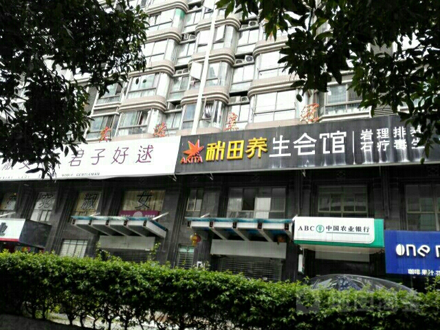海楼网