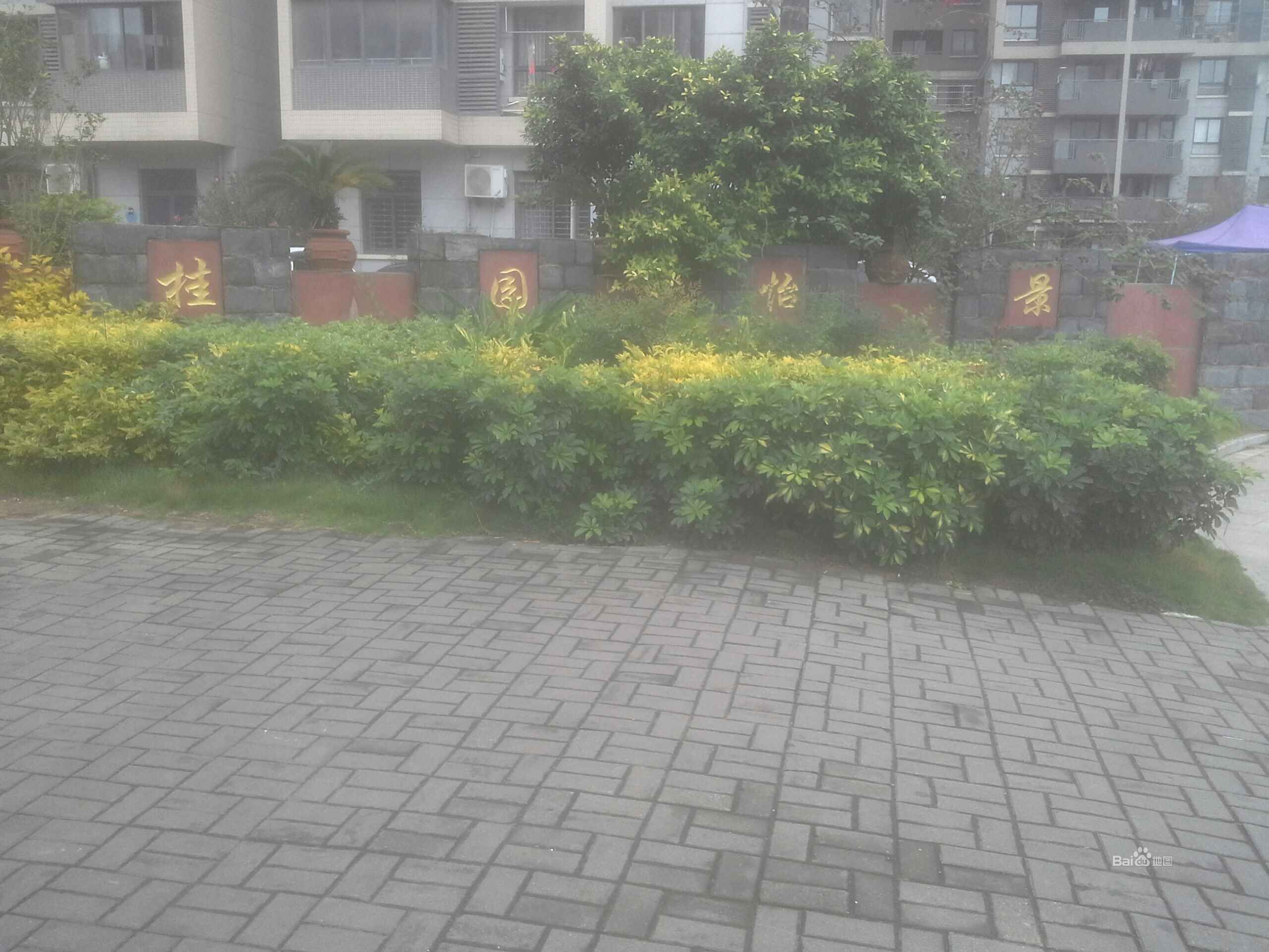 海楼网