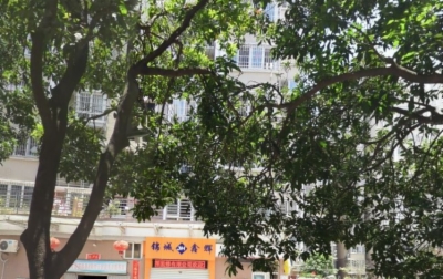 海楼网