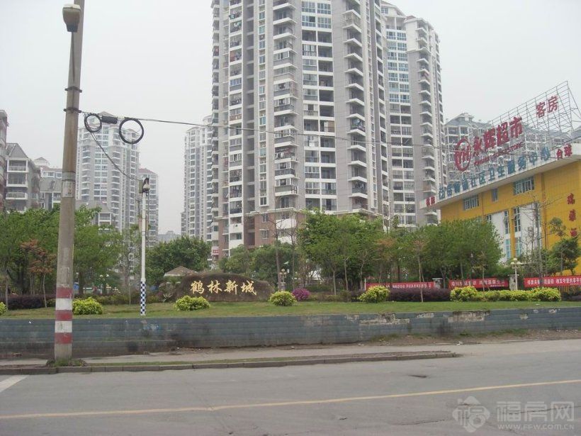 海楼网
