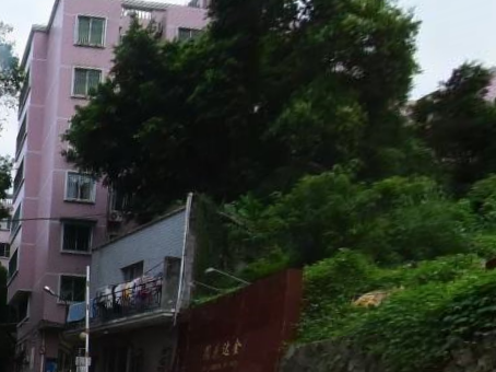 海楼网