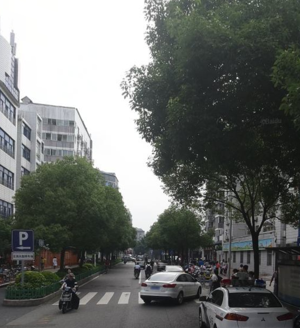 海楼网