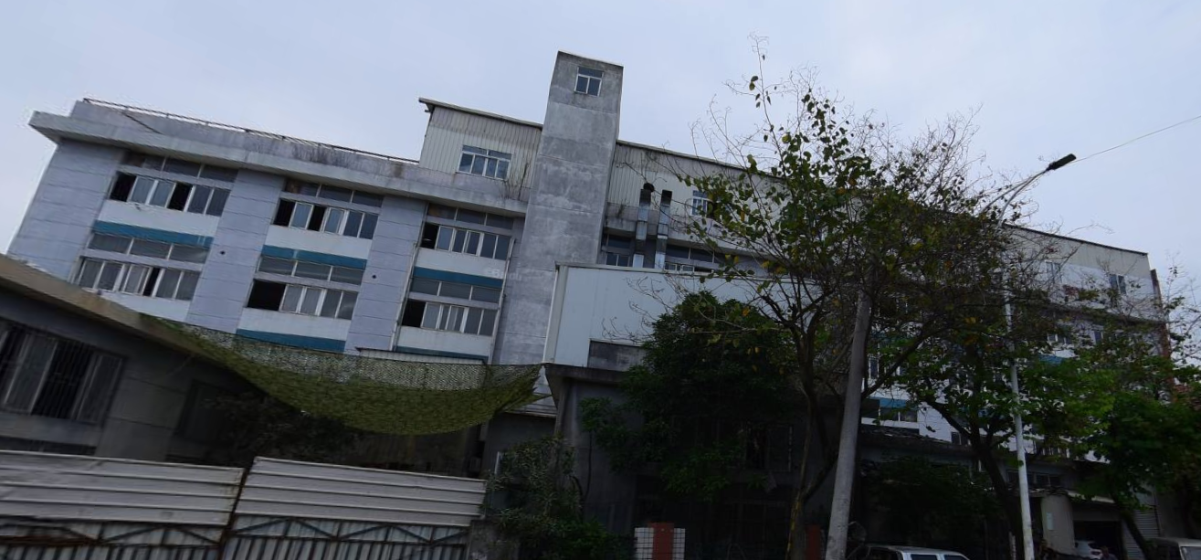 海楼网