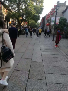 海楼网