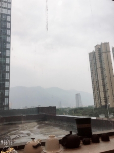 海楼网