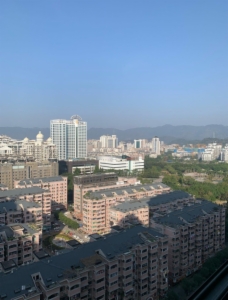 海楼网
