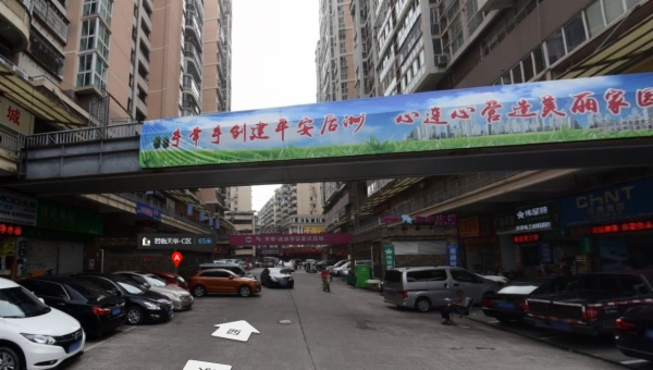 海楼网