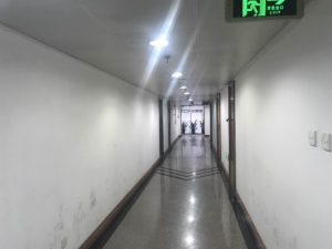 海楼网