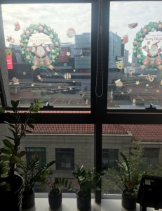 海楼网
