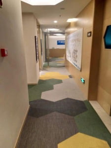 海楼网