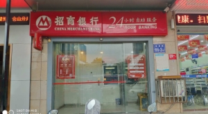 海楼网