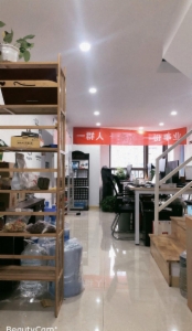 海楼网