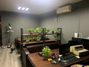海楼网