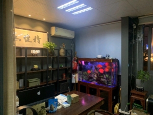 海楼网