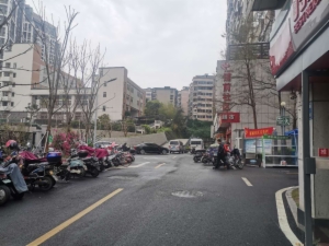 海楼网