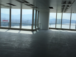 海楼网