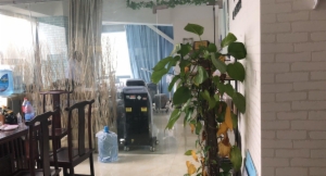 海楼网