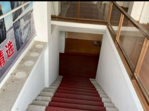 海楼网