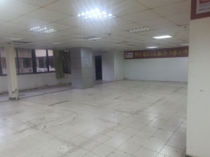 海楼网