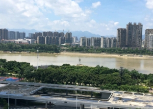 海楼网