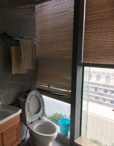 海楼网