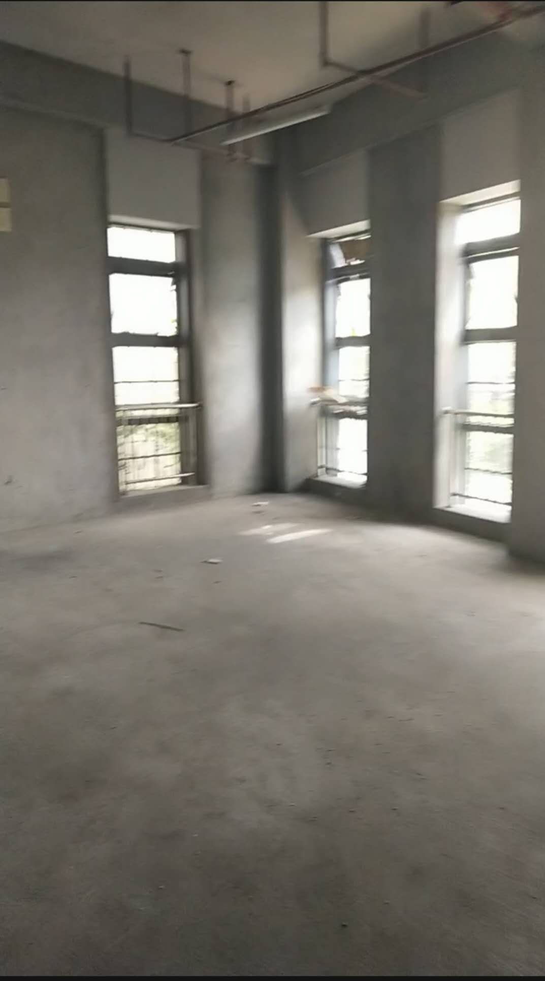 海楼网
