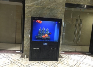 海楼网