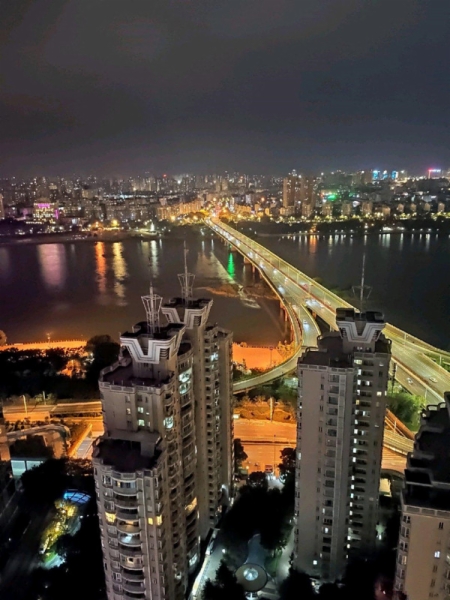 海楼网